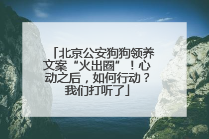 北京公安狗狗领养文案“火出圈”！心动之后，如何行动？我们打听了