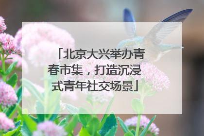北京大兴举办青春市集，打造沉浸式青年社交场景