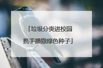 垃圾分类进校园 携手播撒绿色种子
