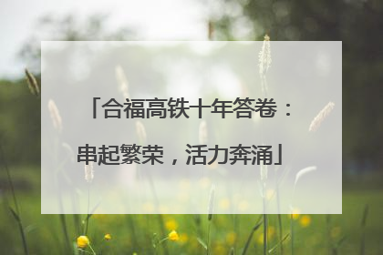 合福高铁十年答卷：串起繁荣，活力奔涌