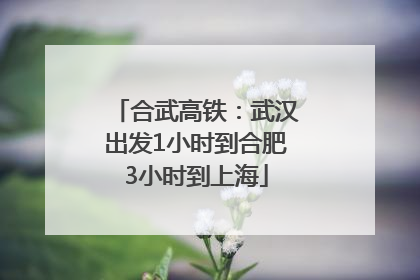 合武高铁：武汉出发1小时到合肥3小时到上海