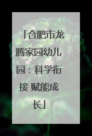 合肥市龙腾家园幼儿园：科学衔接 赋能成长