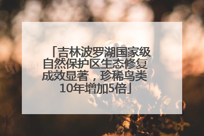 吉林波罗湖国家级自然保护区生态修复成效显著，珍稀鸟类10年增加5倍