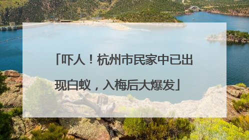 吓人！杭州市民家中已出现白蚁，入梅后大爆发