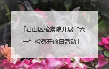 君山区检察院开展“六一”检察开放日活动