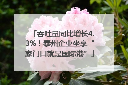 吞吐量同比增长4.3%！泰州企业坐享“家门口就是国际港”