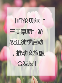 呼伦贝尔“三美草原”游牧迁徙季启动，推动文旅融合发展
