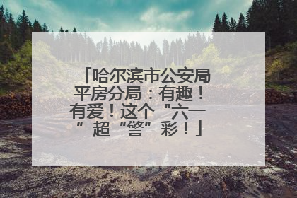 哈尔滨市公安局平房分局：有趣！有爱！这个“六一”超“警”彩！