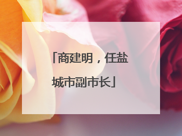 商建明，任盐城市副市长