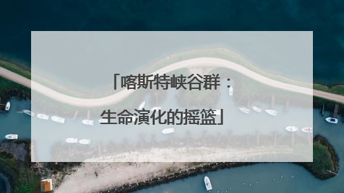 喀斯特峡谷群：生命演化的摇篮