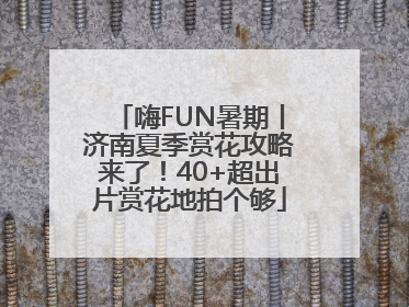 嗨FUN暑期丨济南夏季赏花攻略来了！40+超出片赏花地拍个够