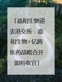 嘉和生物递表港交所：嘉和生物+亿腾医药战略合并即将收官
