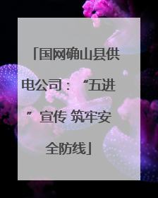 国网确山县供电公司：“五进”宣传 筑牢安全防线
