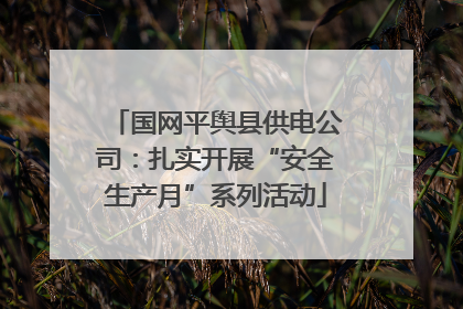 国网平舆县供电公司：扎实开展“安全生产月”系列活动