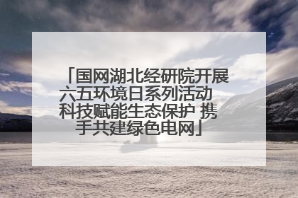 国网湖北经研院开展六五环境日系列活动 科技赋能生态保护 携手共建绿色电网