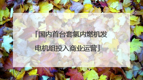 国内首台套氢内燃机发电机组投入商业运营