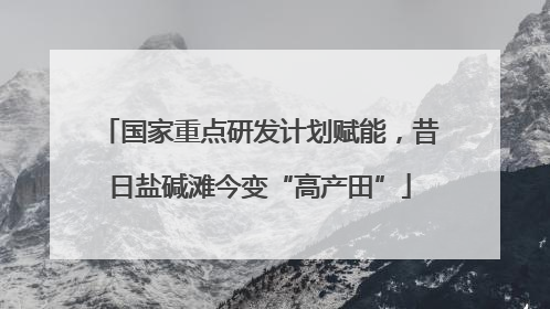 国家重点研发计划赋能，昔日盐碱滩今变“高产田”