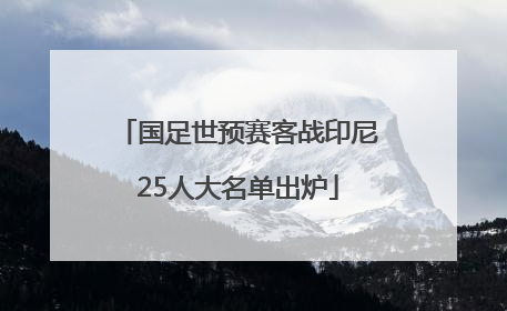 国足世预赛客战印尼25人大名单出炉