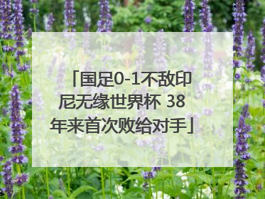 国足0-1不敌印尼无缘世界杯 38年来首次败给对手