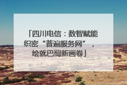 四川电信：数智赋能织密“普遍服务网”，绘就巴蜀新画卷