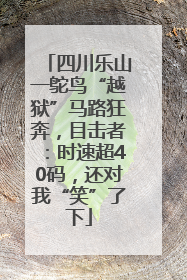 四川乐山一鸵鸟“越狱”马路狂奔，目击者：时速超40码，还对我“笑”了下