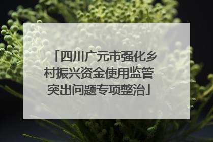 四川广元市强化乡村振兴资金使用监管突出问题专项整治