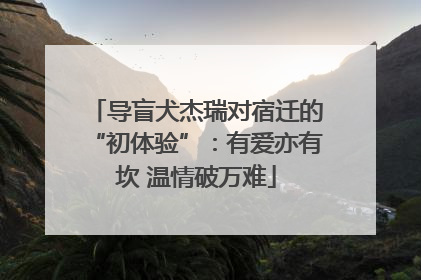 导盲犬杰瑞对宿迁的“初体验”：有爱亦有坎 温情破万难