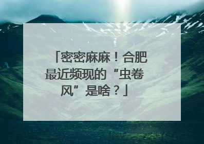 密密麻麻！合肥最近频现的“虫卷风”是啥？