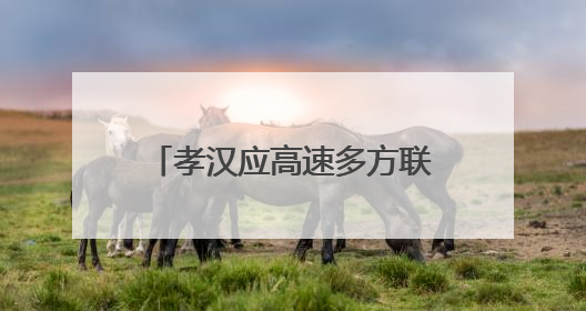 孝汉应高速多方联动筑牢安全防线
