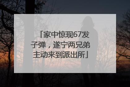 家中惊现67发子弹，遂宁两兄弟主动来到派出所
