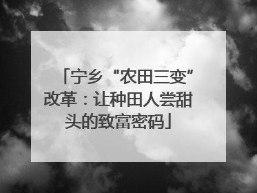宁乡“农田三变”改革：让种田人尝甜头的致富密码