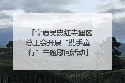 宁夏吴忠红寺堡区总工会开展“携手童行”主题慰问活动