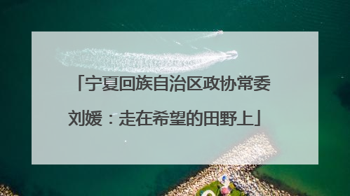 宁夏回族自治区政协常委刘媛：走在希望的田野上