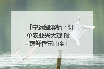 宁远鲤溪镇：订单农业兴大观 时蔬鲜香富山乡