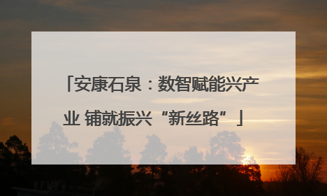 安康石泉：数智赋能兴产业 铺就振兴“新丝路”