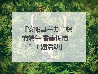 安阳县举办“粽情端午 香囊传情”主题活动