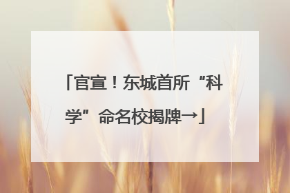 官宣！东城首所“科学”命名校揭牌→