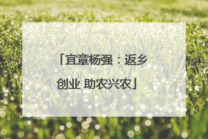 宜章杨强：返乡创业 助农兴农