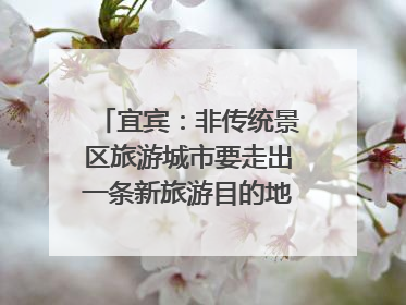 宜宾：非传统景区旅游城市要走出一条新旅游目的地新路子｜话锦绣·说安逸