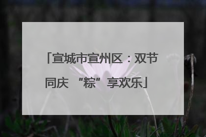 宣城市宣州区：双节同庆 “粽”享欢乐