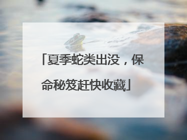 夏季蛇类出没，保命秘笈赶快收藏