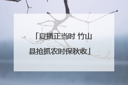 夏播正当时 竹山县抢抓农时保秋收