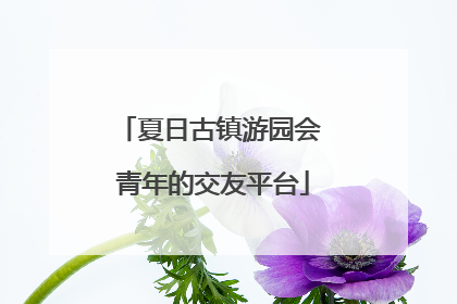 夏日古镇游园会 青年的交友平台