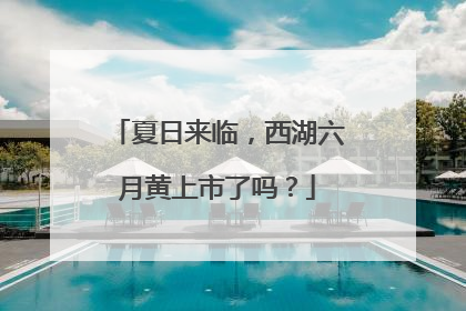 夏日来临，西湖六月黄上市了吗？