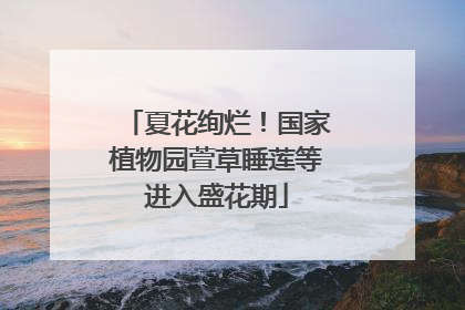 夏花绚烂！国家植物园萱草睡莲等进入盛花期