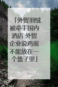 外贸羽绒被牵手国内酒店 外贸企业说鸡蛋不能放在一个篮子里