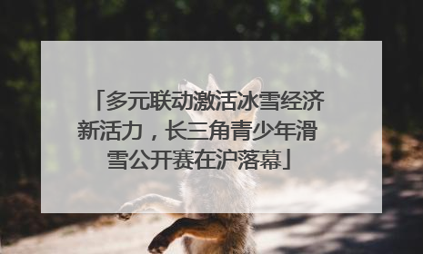 多元联动激活冰雪经济新活力，长三角青少年滑雪公开赛在沪落幕