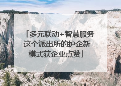 多元联动+智慧服务 这个派出所的护企新模式获企业点赞