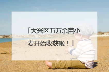 大兴区五万余亩小麦开始收获啦！