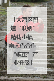 大湾区智造“联姻”精铸小镇 嘉禾借合作“破茧”产业升级